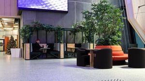 Gode sosiale soner for arbeid eller prat.